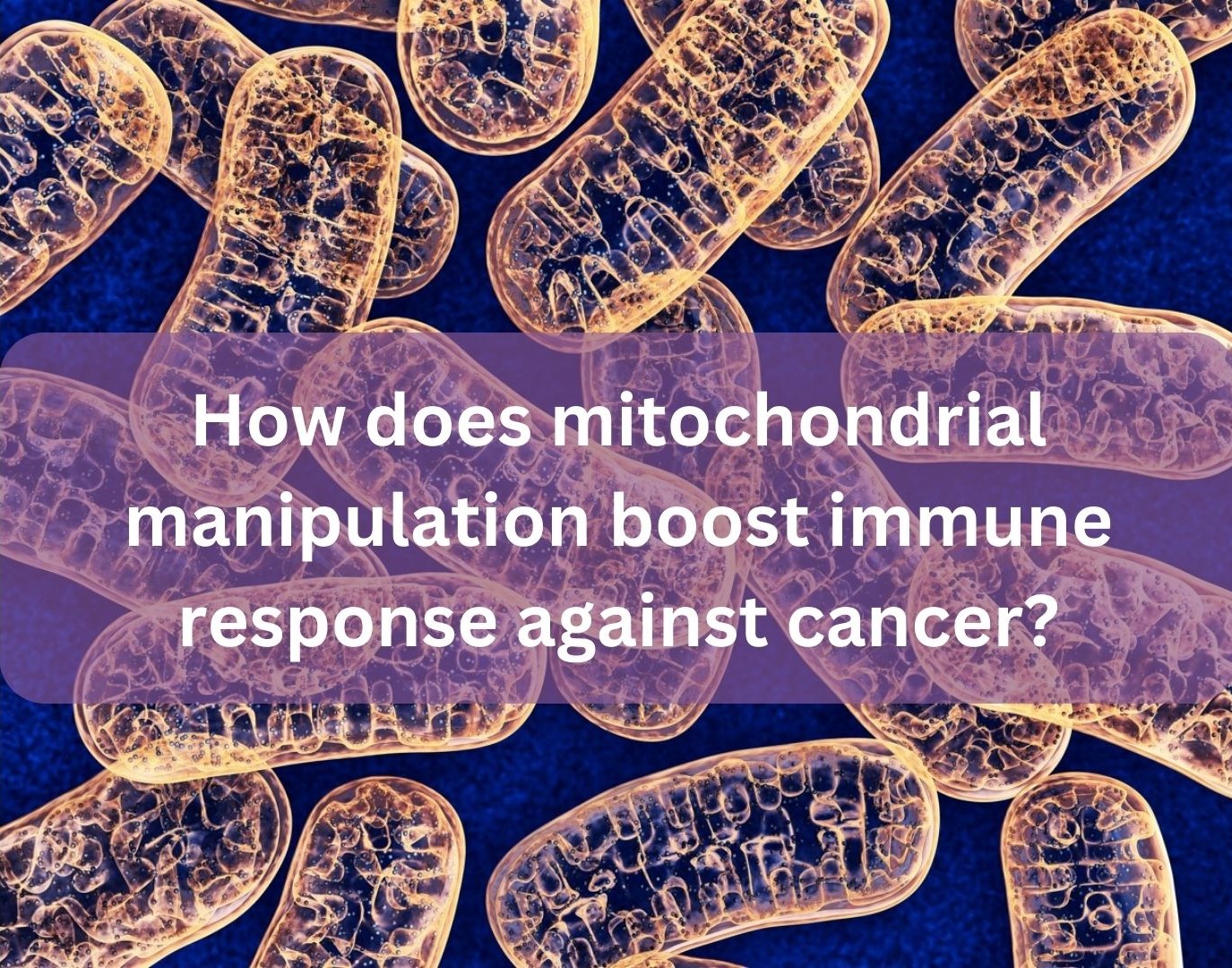 Revolutionizing Cancer Treatment: Enhancing Immune Response through Mitochondrial Manipulation
